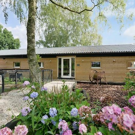Bos En Beek Bed & Breakfast Ulvenhout Exterior foto